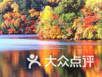 天津滨海惠民村镇银行国泰大厦支行被罚90万：因贷款风险分类不准确等
